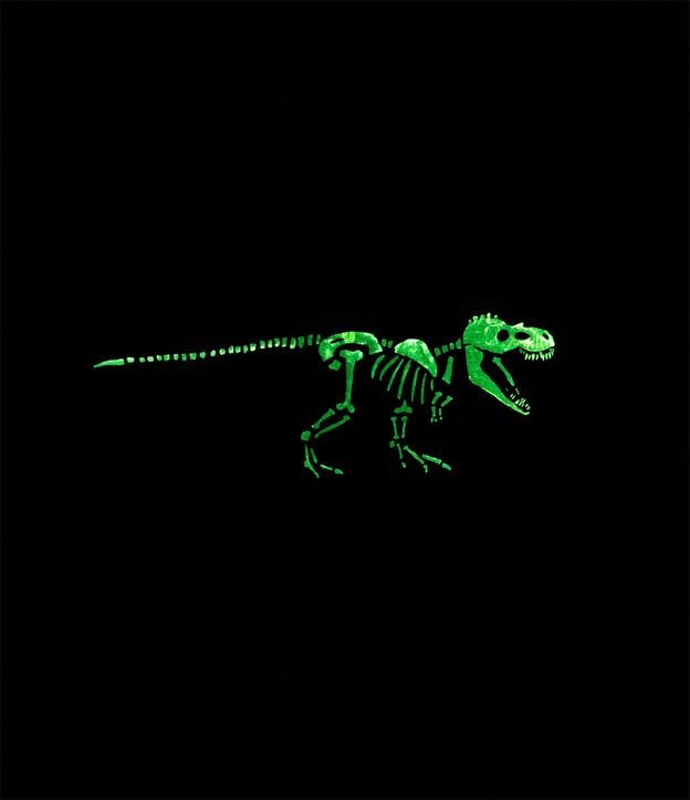 Remera Infantil en Algodón Dinosaurio Brilla en la Oscuridad - Talle 5 a 14 años 5