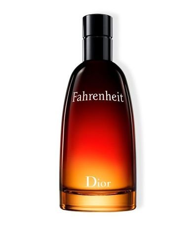 Perfume Dior Fahrenheit Masculino Eau de Toilette 1