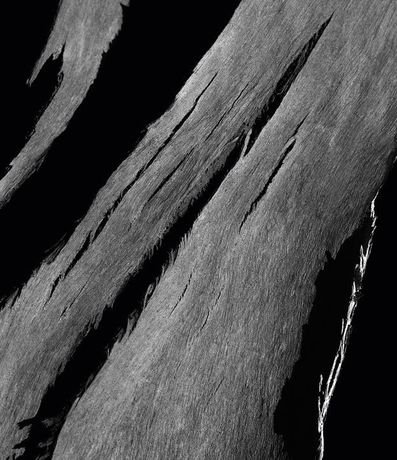 Perfume Givenchy L'Interdit Femenino Eau de Parfum 6