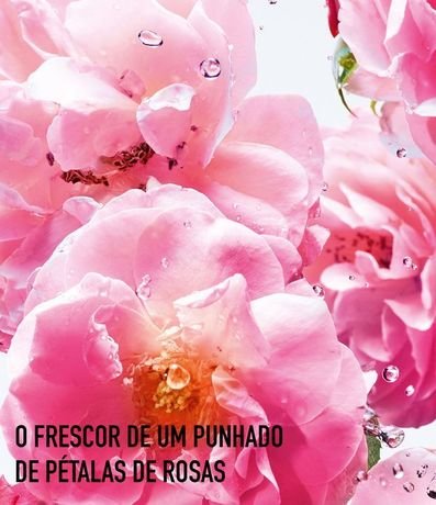 Perfume Miss Dior Rose N'Roses Femenino Eau de Toilette 3