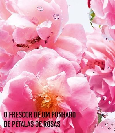 Perfume Miss Dior Rose N'Roses Femenino Eau de Toilette 3