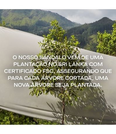 Perfume Antonio Banderas The Icon Eau De Parfum 8