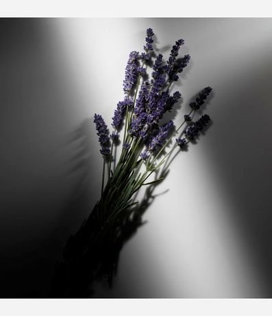 Perfume Ralph Lauren Ralph's Club Eau de Parfum Masculino 5