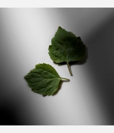 Perfume Ralph Lauren Ralph's Club Eau de Parfum Masculino 6