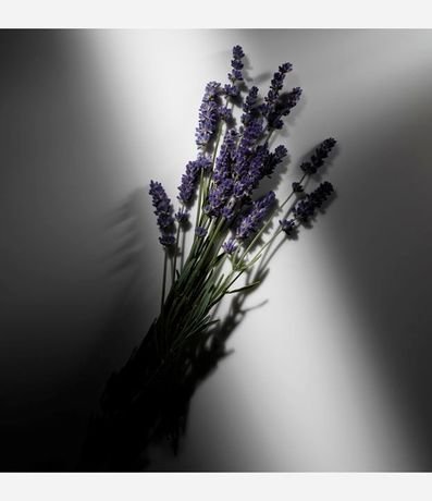 Perfume Ralph Lauren Ralph's Club Eau de Parfum Masculino 5