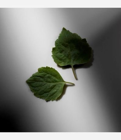 Perfume Ralph Lauren Ralph's Club Eau de Parfum Masculino 6