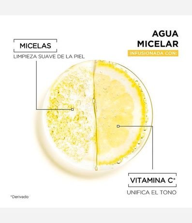 Garnier Exp Aclara Micelar 3