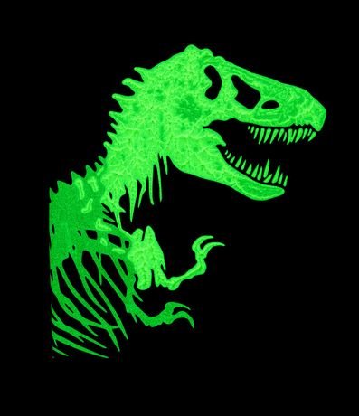 Pijama Infantil con Estampa Jurassic World - Talle 6 a 14 años 12